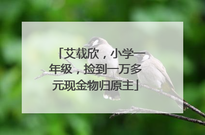 艾载欣，小学一年级，捡到一万多元现金物归原主