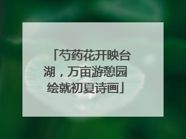 芍药花开映台湖，万亩游憩园绘就初夏诗画