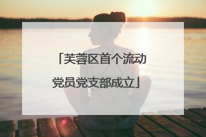 芙蓉区首个流动党员党支部成立