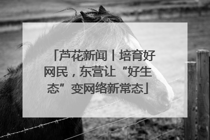 芦花新闻丨培育好网民，东营让“好生态”变网络新常态