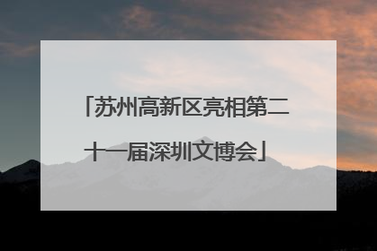 苏州高新区亮相第二十一届深圳文博会