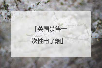 英国禁售一次性电子烟