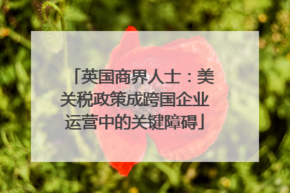 英国商界人士：美关税政策成跨国企业运营中的关键障碍