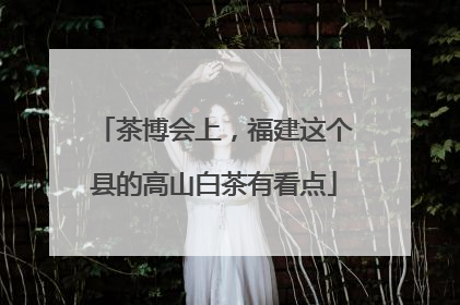 茶博会上，福建这个县的高山白茶有看点