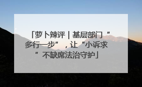萝卜辣评｜基层部门“多行一步”，让“小诉求”不缺席法治守护