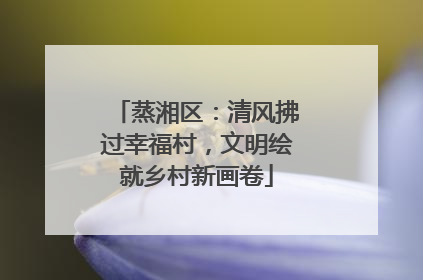 蒸湘区：清风拂过幸福村，文明绘就乡村新画卷