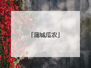 蒲城瓜农