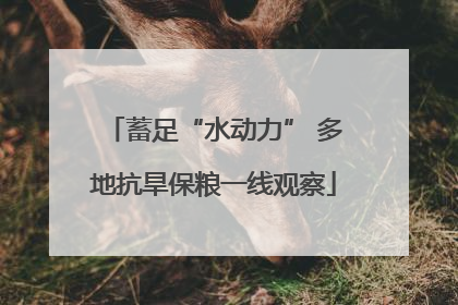 蓄足“水动力” 多地抗旱保粮一线观察