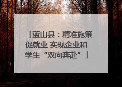蓝山县：精准施策促就业 实现企业和学生“双向奔赴”