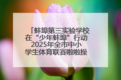 蚌埠第三实验学校在“少年蚌埠”行动2025年全市中小学生体育联赛啦啦操比赛中获佳绩