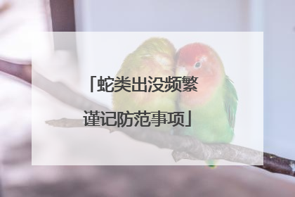 蛇类出没频繁 谨记防范事项