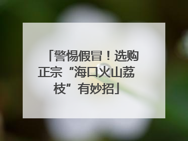 警惕假冒！选购正宗“海口火山荔枝”有妙招
