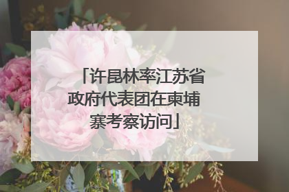 许昆林率江苏省政府代表团在柬埔寨考察访问