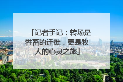 记者手记：转场是牲畜的迁徙，更是牧人的心灵之旅