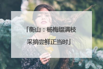 衡山：杨梅缀满枝 采摘尝鲜正当时