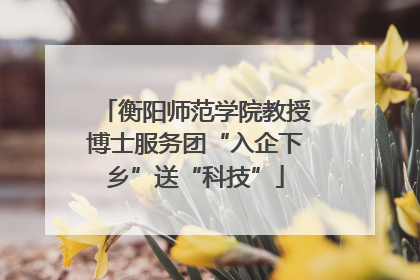衡阳师范学院教授博士服务团“入企下乡”送“科技”