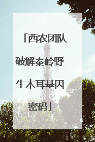 西农团队破解秦岭野生木耳基因密码