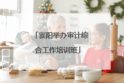 襄阳举办审计综合工作培训班