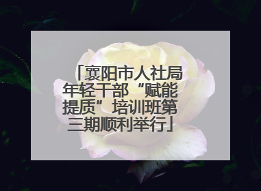 襄阳市人社局年轻干部“赋能提质”培训班第三期顺利举行