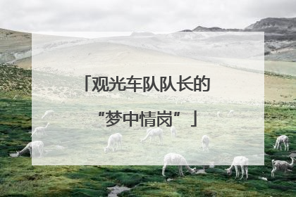 观光车队队长的“梦中情岗”