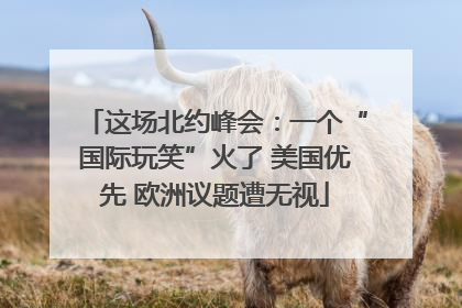 这场北约峰会：一个“国际玩笑”火了 美国优先 欧洲议题遭无视