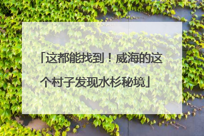 这都能找到！威海的这个村子发现水杉秘境
