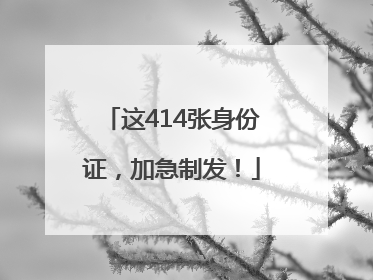 这414张身份证，加急制发！