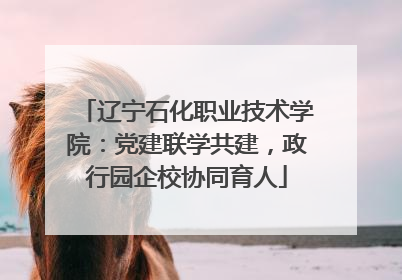 辽宁石化职业技术学院：党建联学共建，政行园企校协同育人