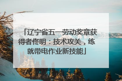 辽宁省五一劳动奖章获得者佟明：技术攻关，练就带电作业新技能