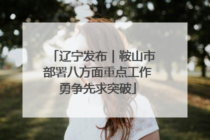 辽宁发布｜鞍山市部署八方面重点工作勇争先求突破