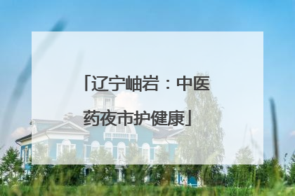 辽宁岫岩：中医药夜市护健康