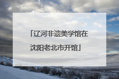 辽河非遗美学馆在沈阳老北市开馆