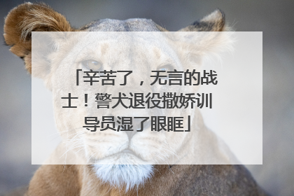 辛苦了，无言的战士！警犬退役撒娇训导员湿了眼眶