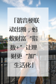 谐音梗联动出圈，蚂蚁财富“指数+”让理财更“加”生活化