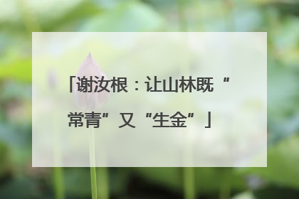 谢汝根：让山林既“常青”又“生金”