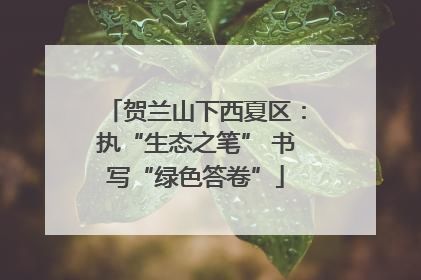 贺兰山下西夏区：执“生态之笔” 书写“绿色答卷”