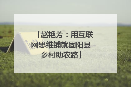 赵艳芳：用互联网思维铺就固阳县乡村助农路
