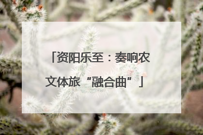 资阳乐至：奏响农文体旅“融合曲”