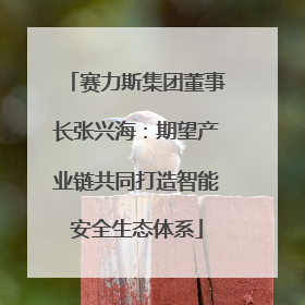 赛力斯集团董事长张兴海：期望产业链共同打造智能安全生态体系