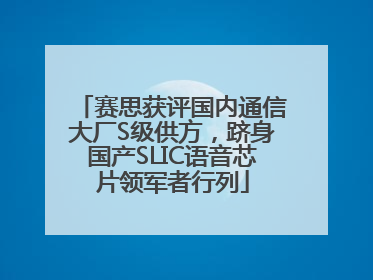 赛思获评国内通信大厂S级供方，跻身国产SLIC语音芯片领军者行列