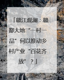 赣江观澜：赣鄱大地“一村一品”何以推动乡村产业“百花齐放”？