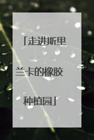 走进斯里兰卡的橡胶种植园
