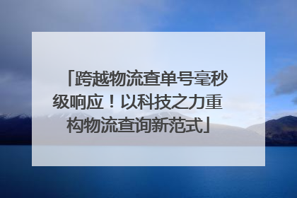跨越物流查单号毫秒级响应！以科技之力重构物流查询新范式
