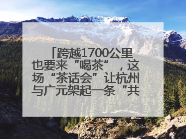 跨越1700公里也要来“喝茶”，这场“茶话会”让杭州与广元架起一条“共富之路”