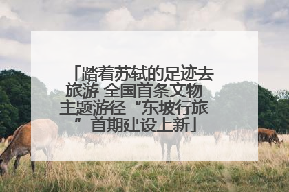 踏着苏轼的足迹去旅游 全国首条文物主题游径“东坡行旅”首期建设上新