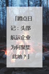 蹲点日记：头部航运企业为何聚集此地？