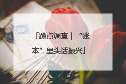 蹲点调查｜“账本”里头话振兴