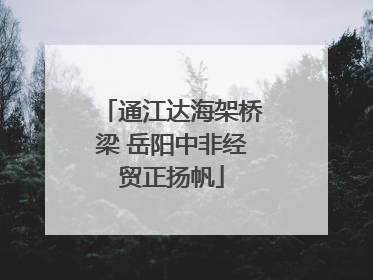 通江达海架桥梁 岳阳中非经贸正扬帆