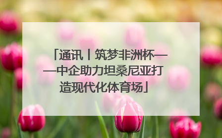 通讯丨筑梦非洲杯——中企助力坦桑尼亚打造现代化体育场