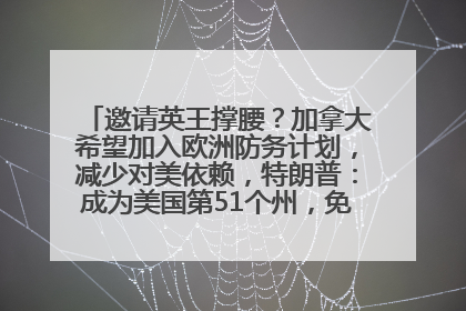 邀请英王撑腰？加拿大希望加入欧洲防务计划，减少对美依赖，特朗普：成为美国第51个州，免费用“金穹”